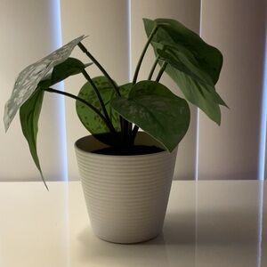 Mainstays Green Potted Plant with White Planter